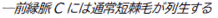イタリック2.png