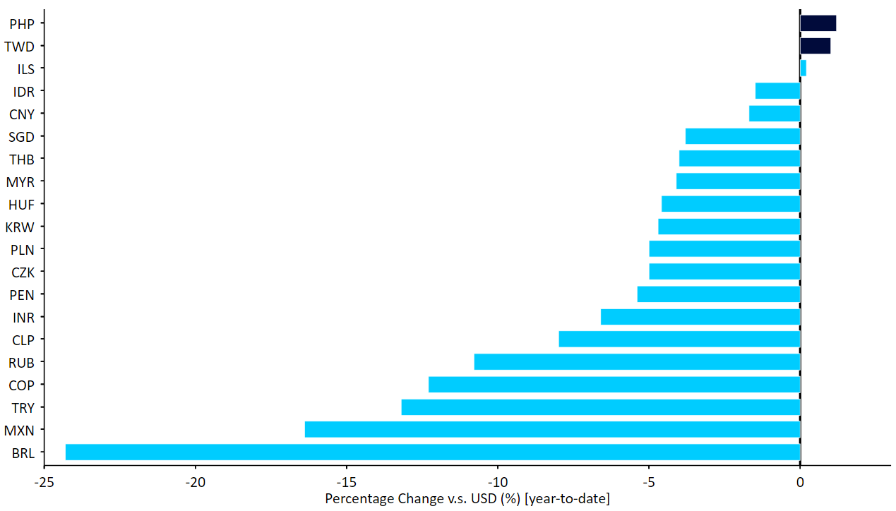 FX Performance Tracker [select EM currencies vs. USD] (YTD)