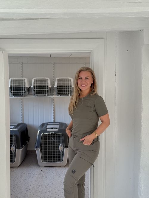 Gullig brun kanin äter kvist Stiftelsen Svenska Djurfonden