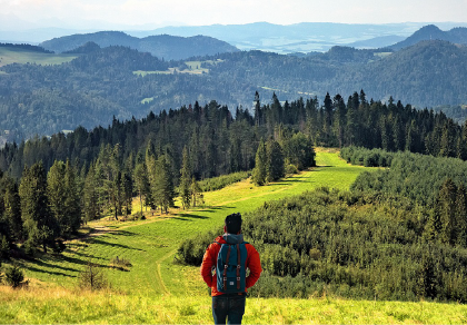 Person with a red jacket and backpack walking on a grassy trail surrounded by forested hills and distant blue mountains.