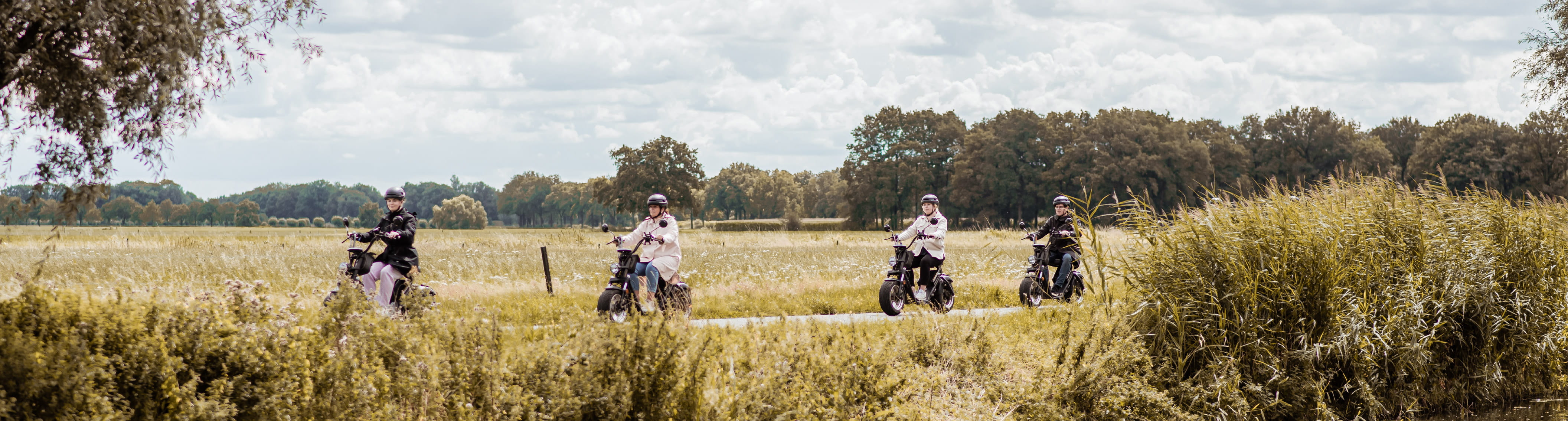 Groep deelnemers rijdt op e-choppers door de natuur op de Utrechtse Heuvelrug tijdens een zomers groepsuitje bij Er Was Eens Woudenberg