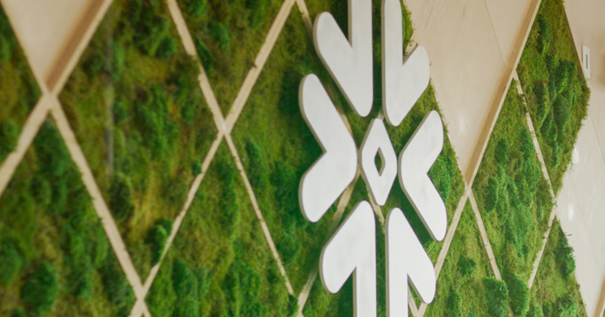 Snowflake IPO