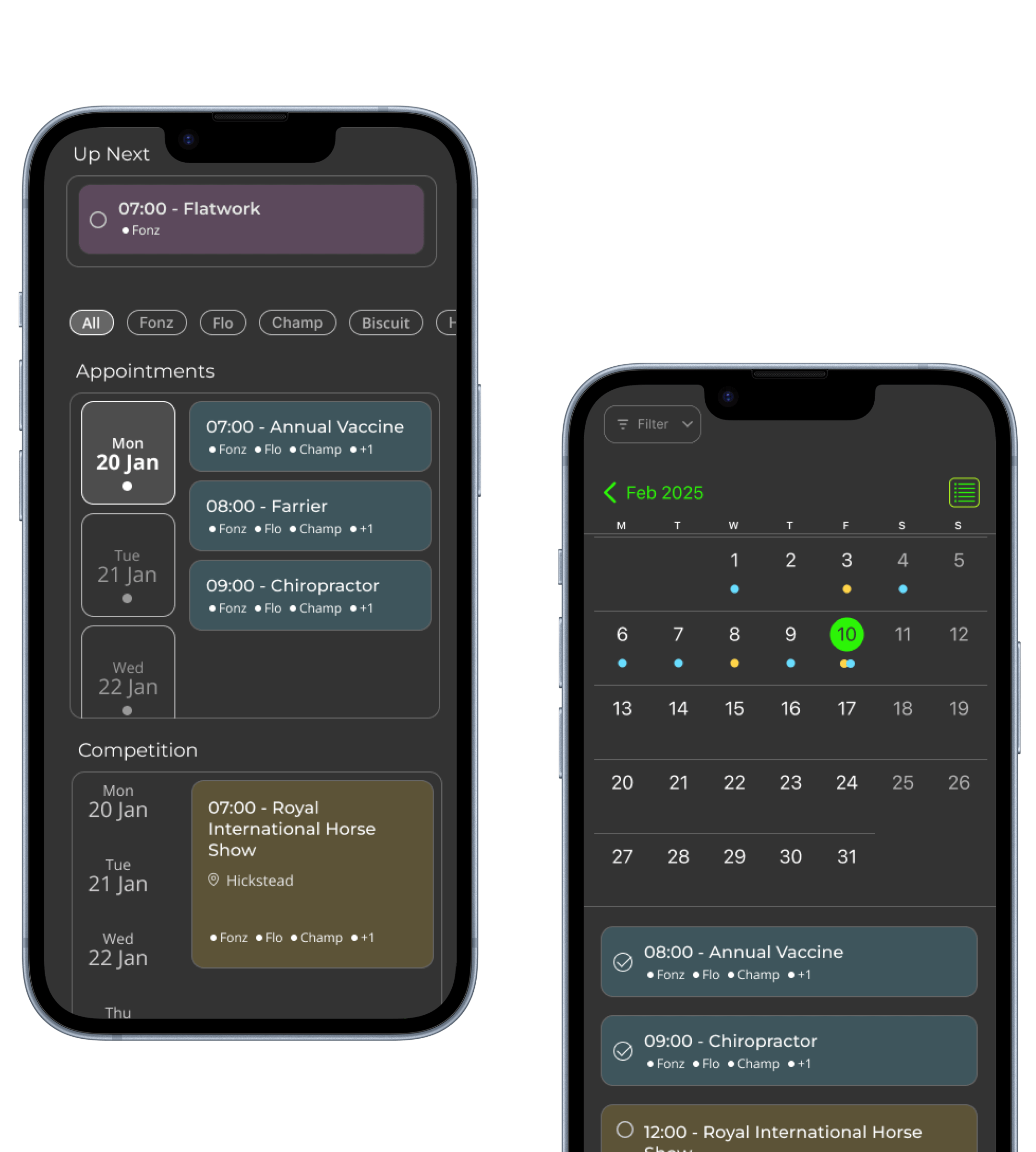 Mobile screen displaying the BIG Rider app dashboard with journal entries, upcoming appointments, and horse schedules for better training and care management.