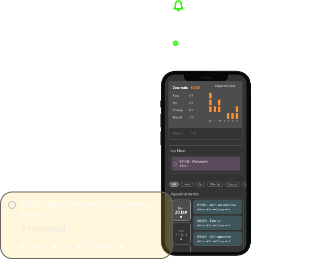 Mobile screen displaying the BIG Rider app dashboard with journal entries, upcoming appointments, and horse schedules for better training and care management.