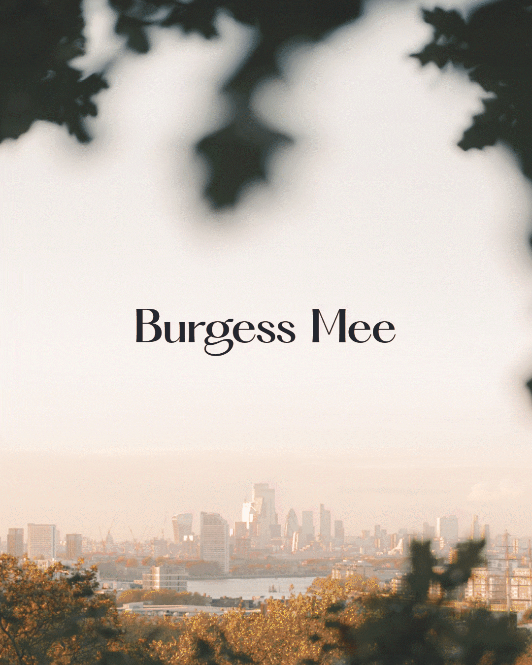 Burgess Mee