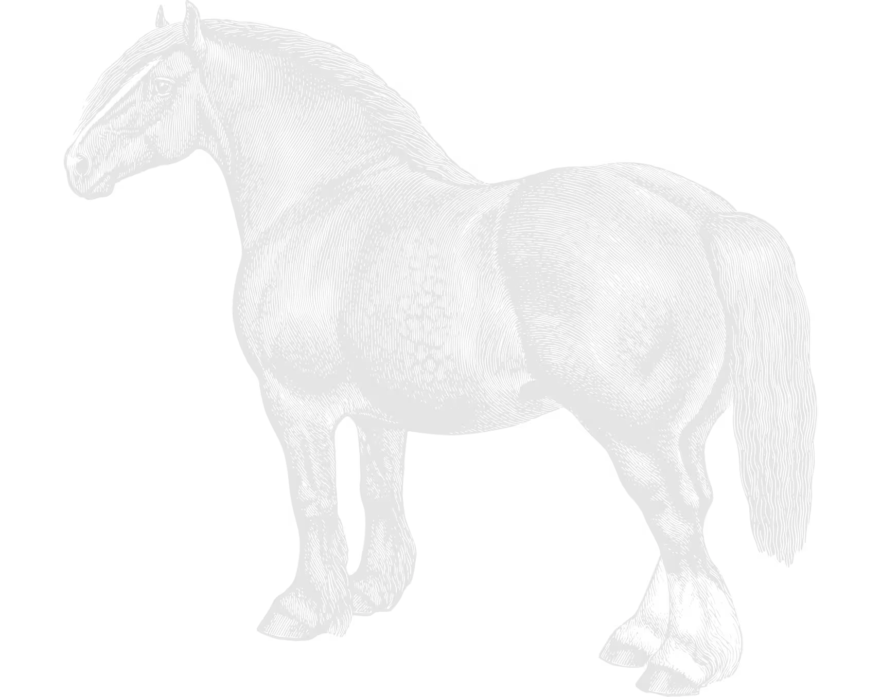 Cheval