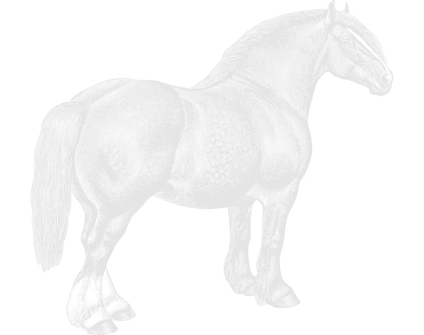 Cheval