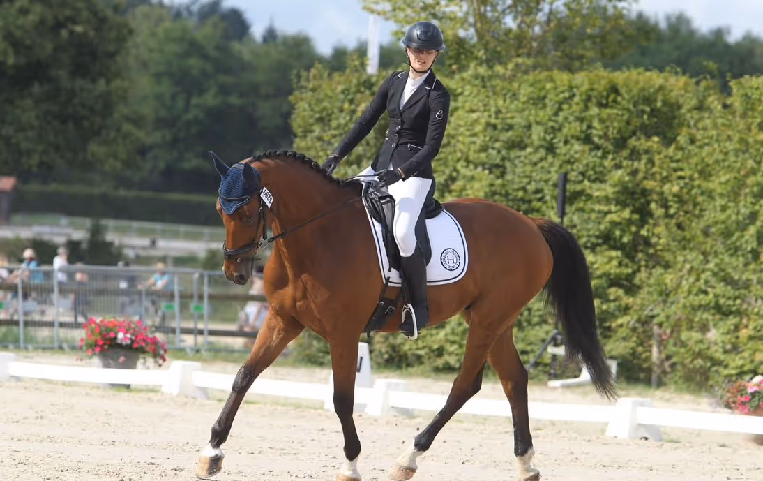 Equestrian rider in black jacket and helmet performing dressage on a bay horse with a braided mane and white saddle pad.