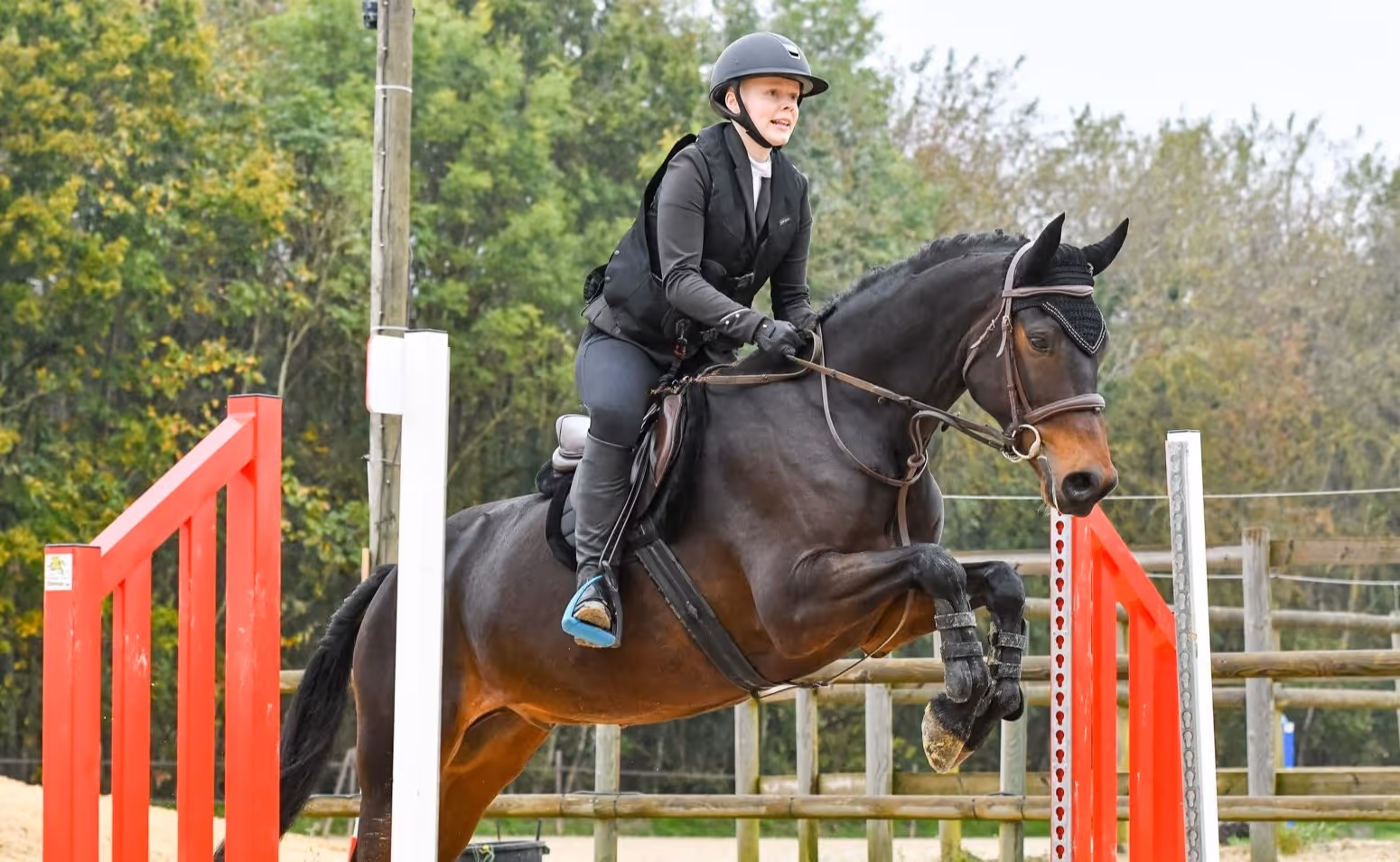 Equestrian rider in black gear jumping a dark brown horse over a red and white obstacle in an outdoor arena.