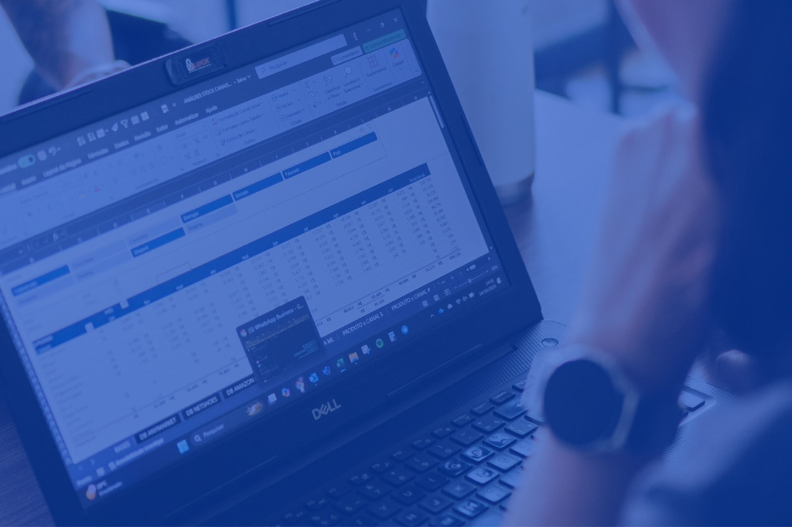 February 2026 Nexus Newsletter