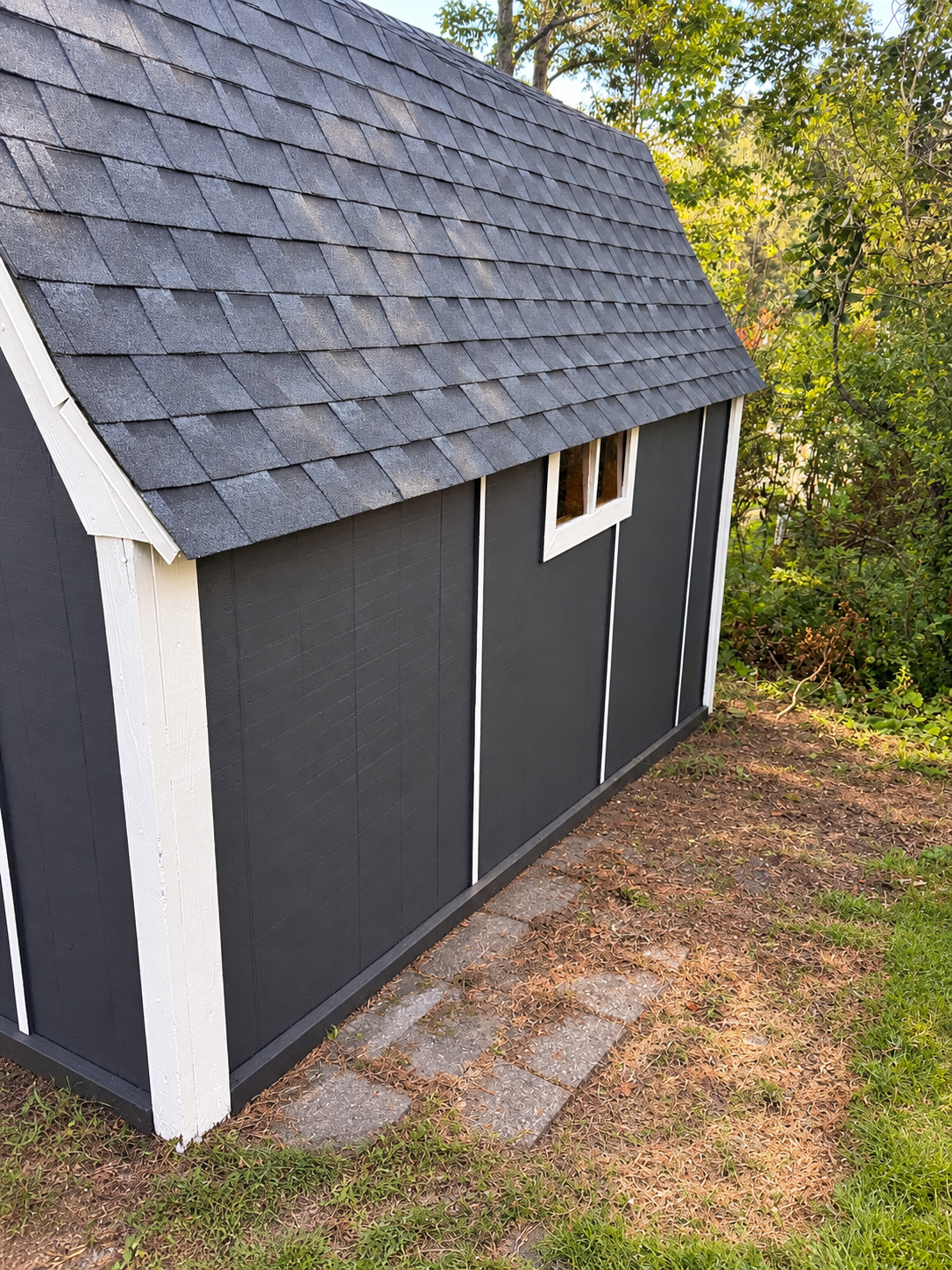 Close-up of the shed's roof edge showing new gray asphalt shingles, white fascia trim, and a small white-trimmed window on the charcoal siding