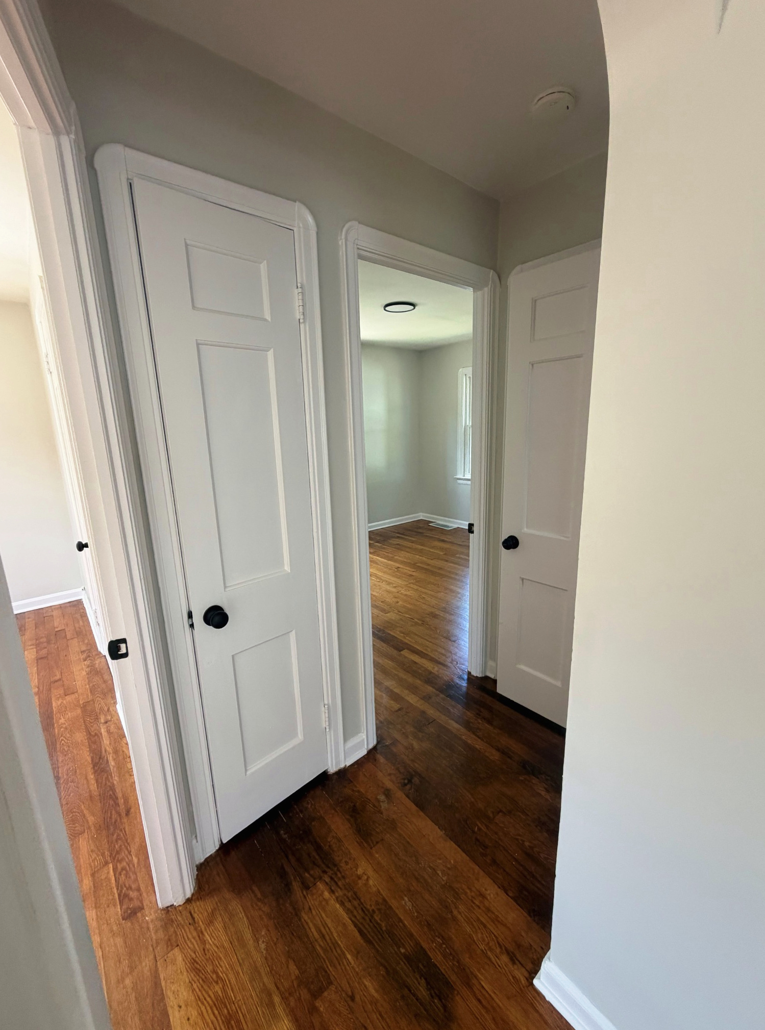 New white interior doors with matte black hardware over hardwood floors, Wayland Ave Cleveland renovation