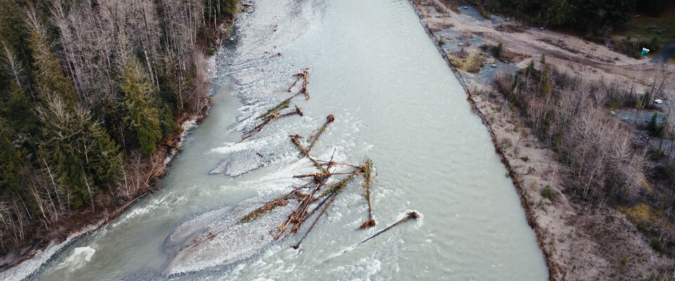 tonybear us music video