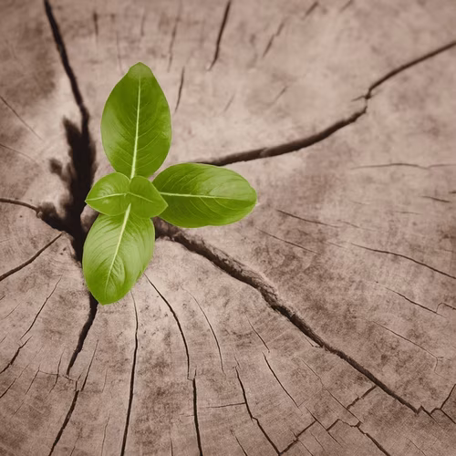Best Deal Jumpstart Package | Dr. Brenda Marshall, MD
