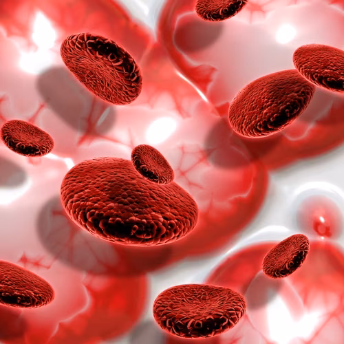 Deep Dive Wellness Blood Analysis | Dr. Brenda Marshall, MD