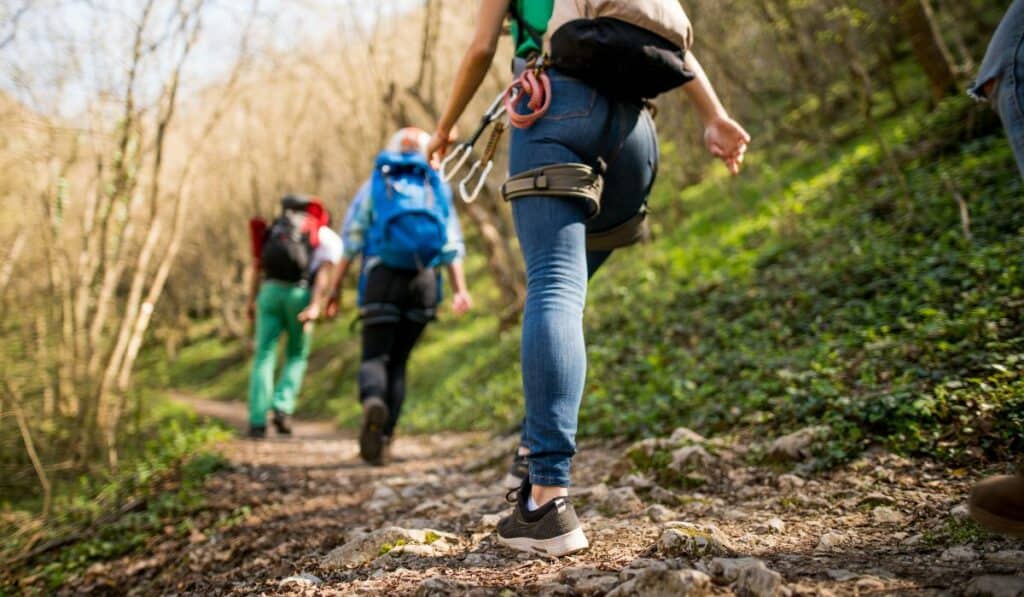 A hiker captured mid-stride on a scenic trail.