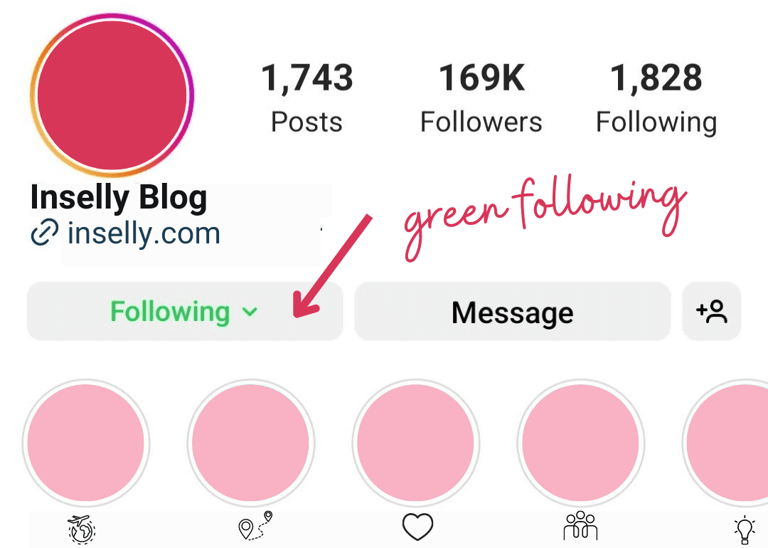 An image showing the green "Following" button on an Instagram profile