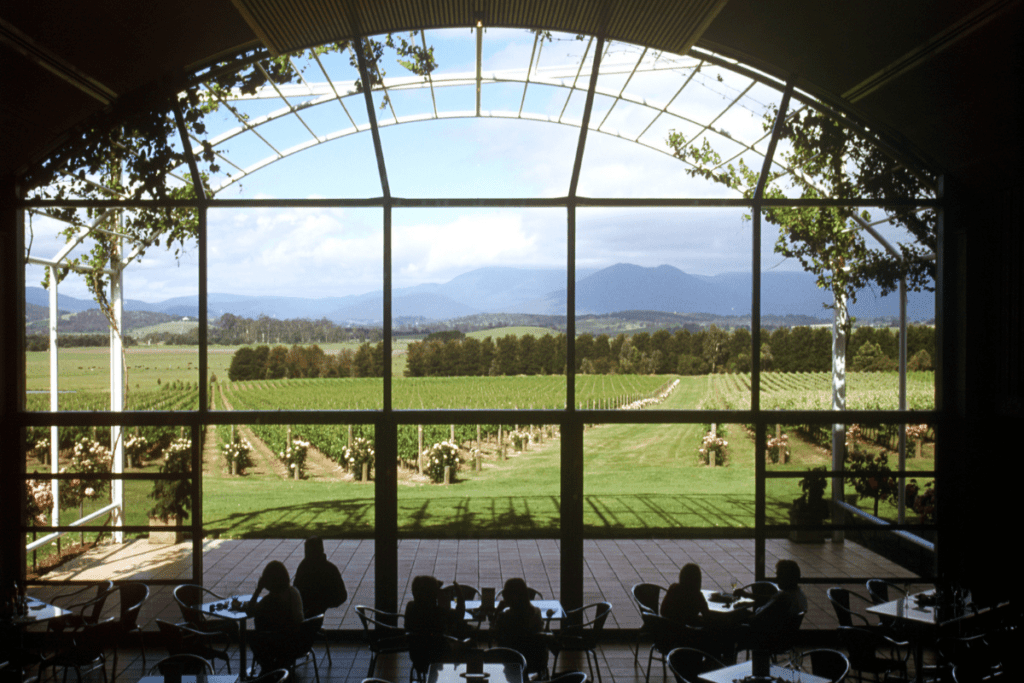 How To Get More Followers For Winery