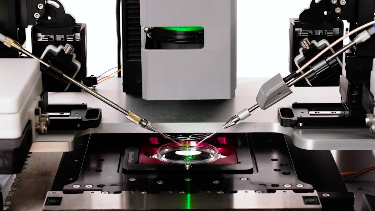 The Startup Making Human Embryos With AI-Assisted Robots
