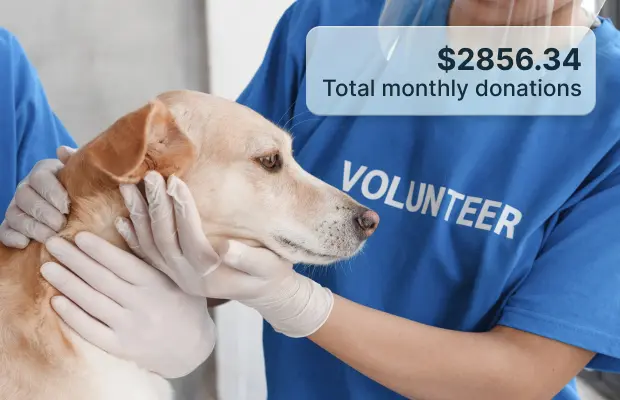 Volunteer vet examining dog