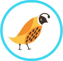 Bloom logo