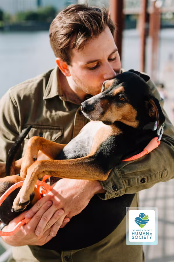 Man hugging a dog