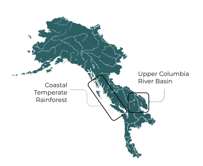 Map showing the Coastal Temperate Rainforest and Upper Columbia River Basin focus areas