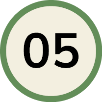Number 5