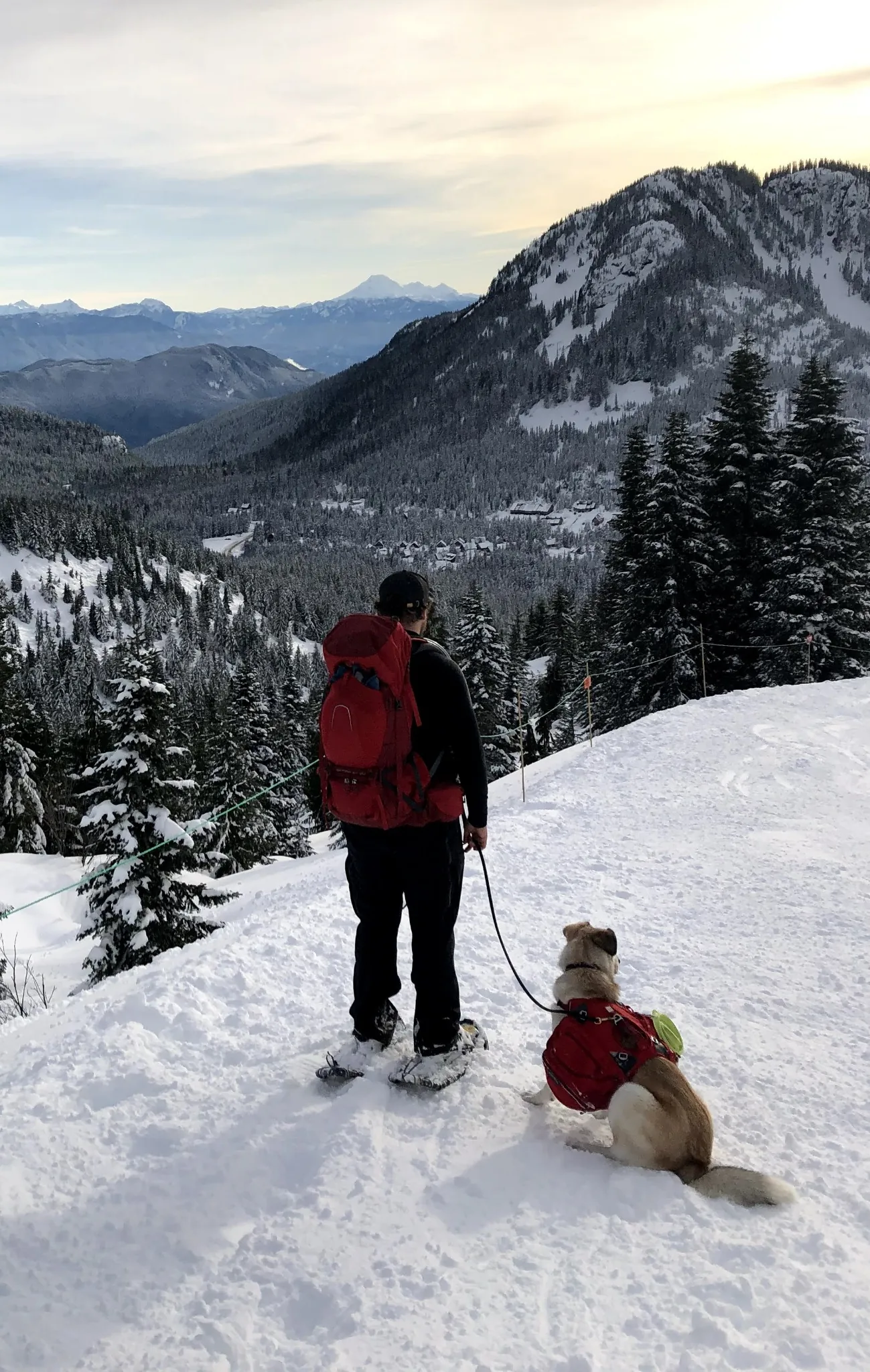 Person with red backpack snowshoeing on a snowy mountain trail holding leash of a dog wearing a red backpack, overlooking snow-covered pine trees and distant mountains.