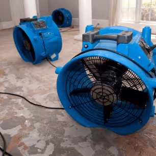 Sewage cleanup  services