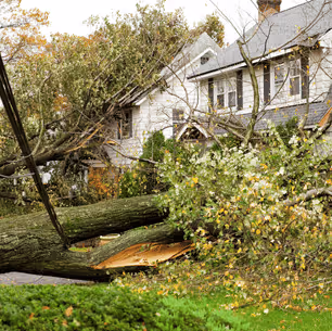 Storm damage restoration  services