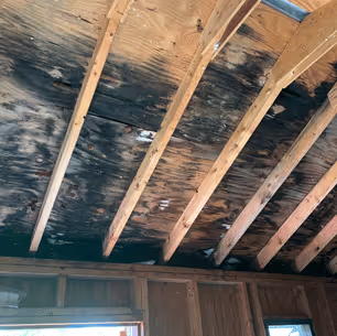 Mold damage repair