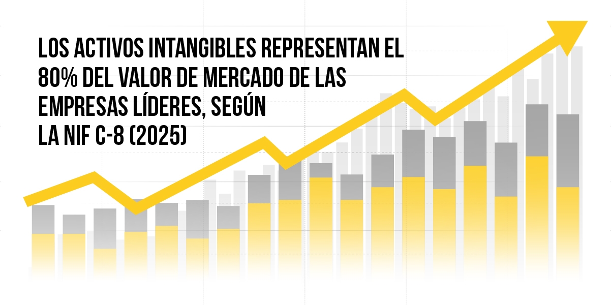 Activos Intangibles NIF C-8