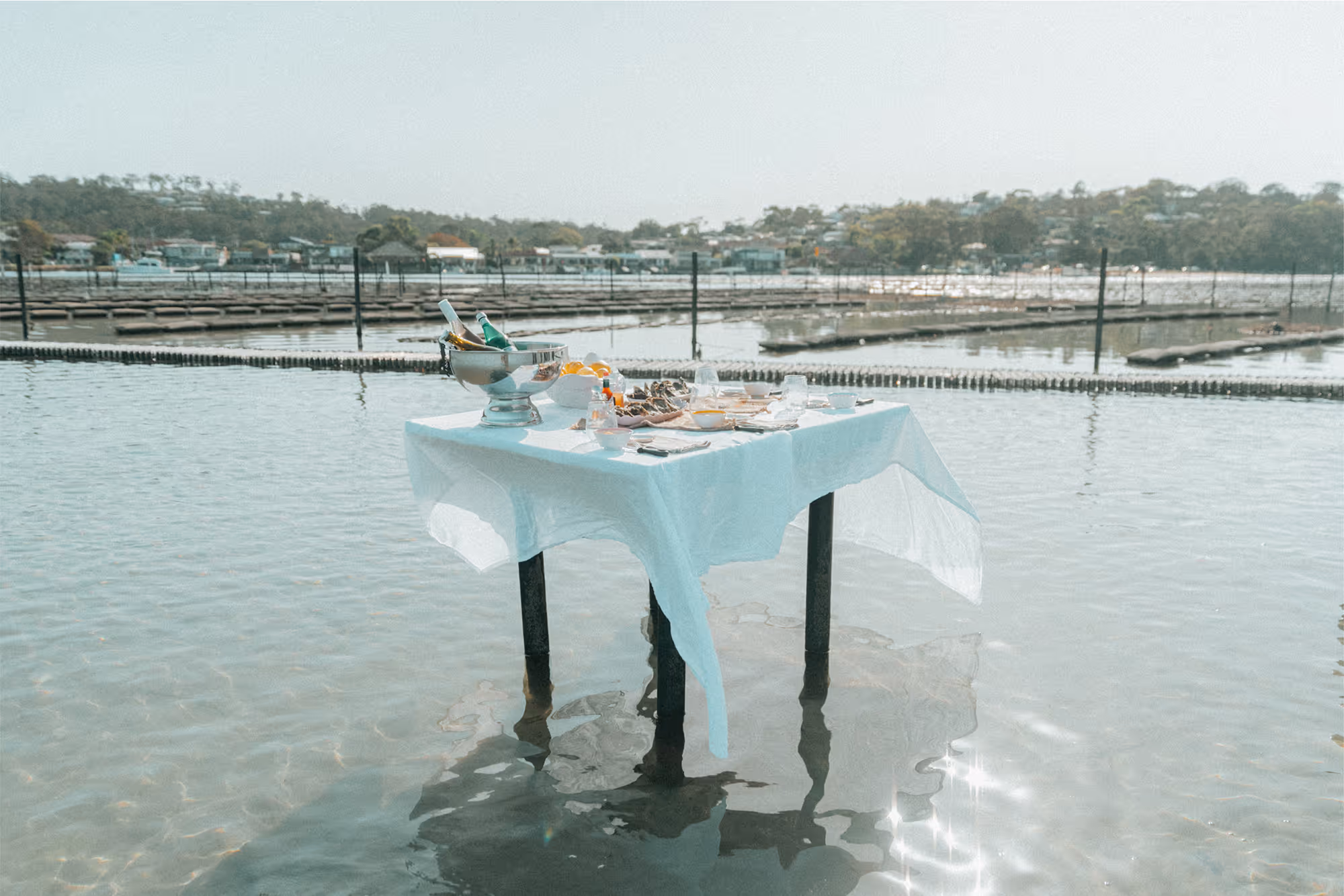 Fresh oysters and a bottle of champagne arranged on a square table