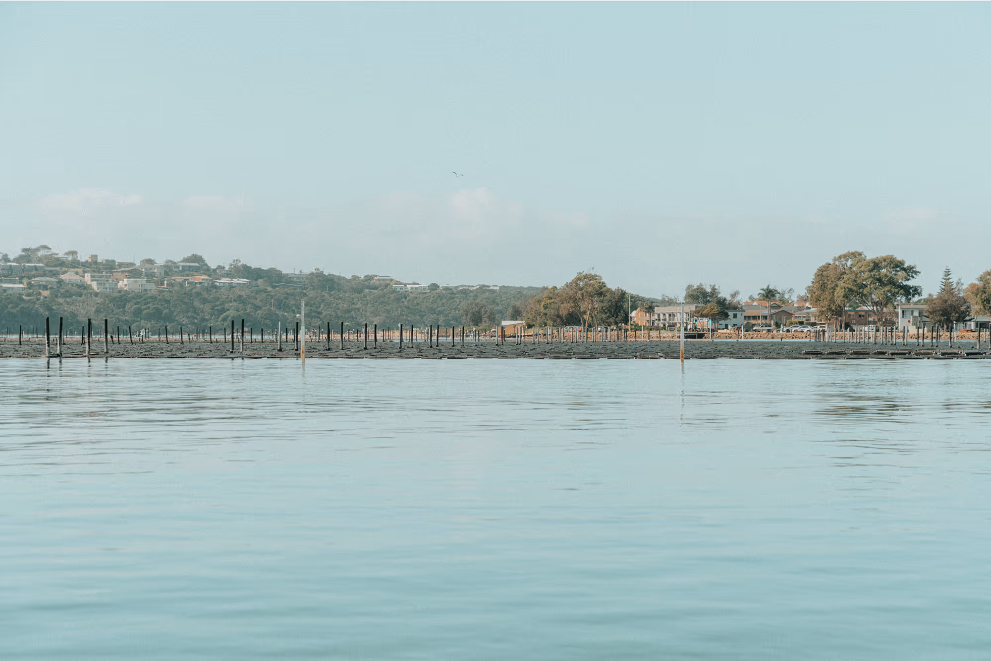 A scenic view of the estuary from the water with trees in the background