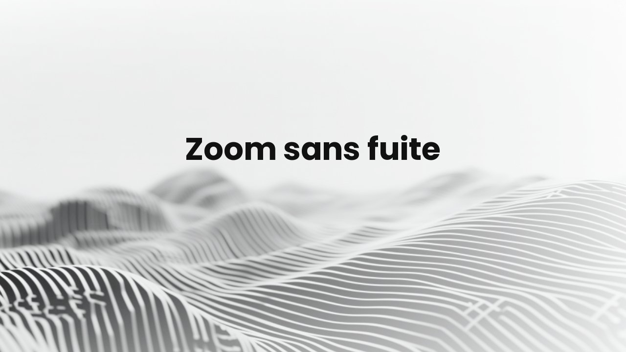 transcription zoom