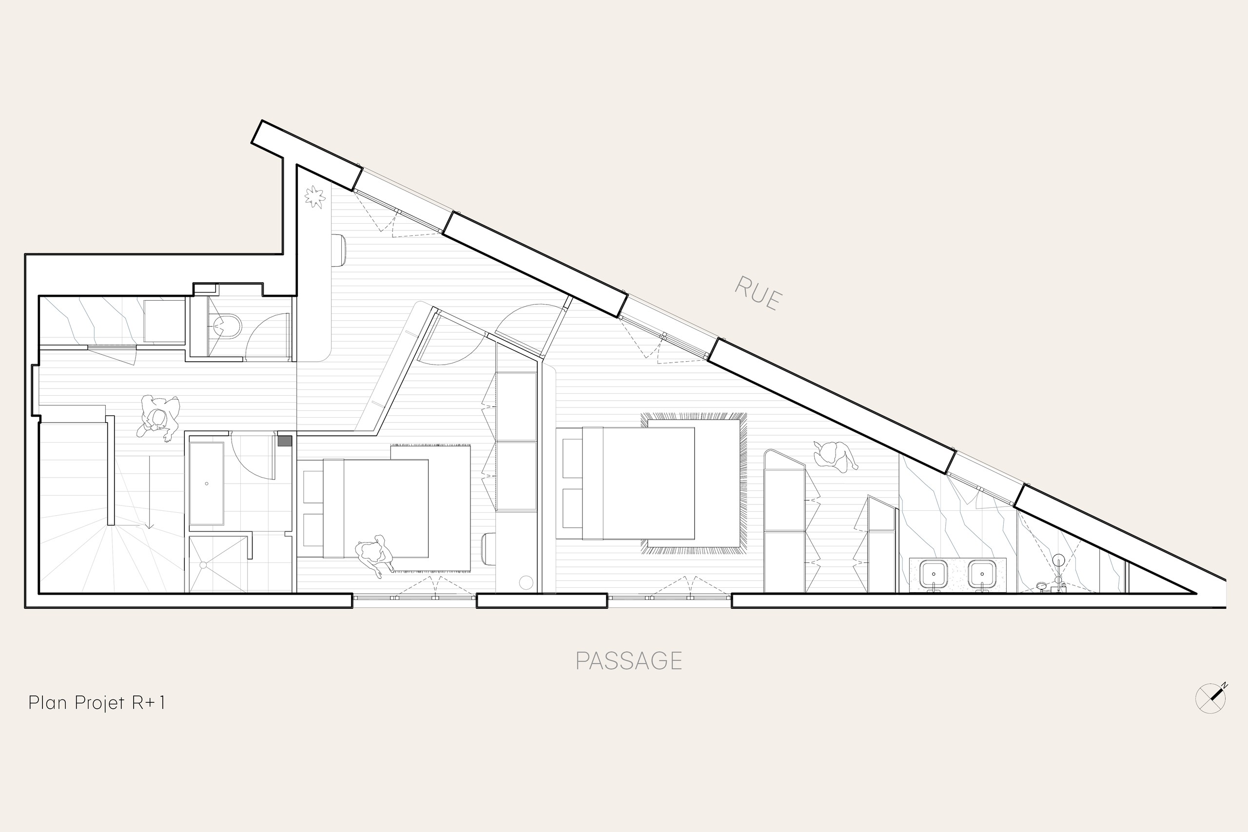 Oïkos Architectes — Appartement Cloÿs — plan R+1 projet