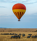 Hot air balloon over the wildlife in the Serengeti