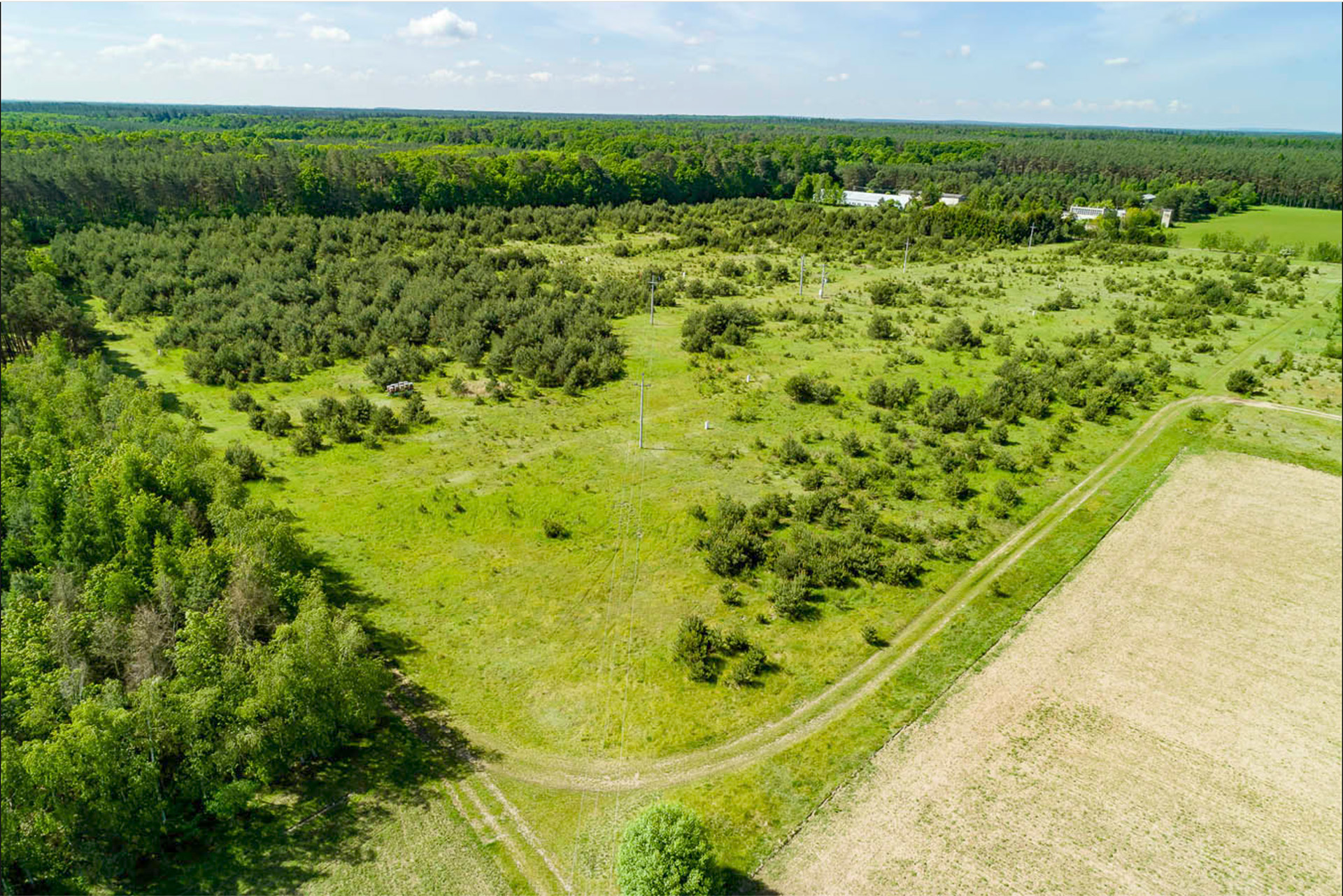 Puszcza Zielonka: 29 Działek Pow. 2596 m²