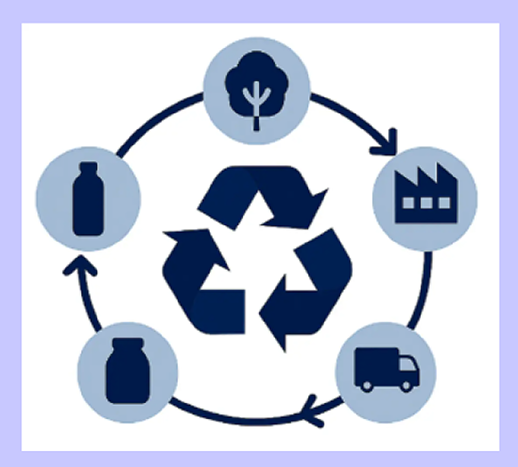 Life Cycle Assessment (LCA)