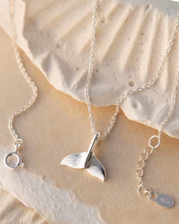 Collar Cola de Ballena en Plata, foto ambientada - Joyería Cayou