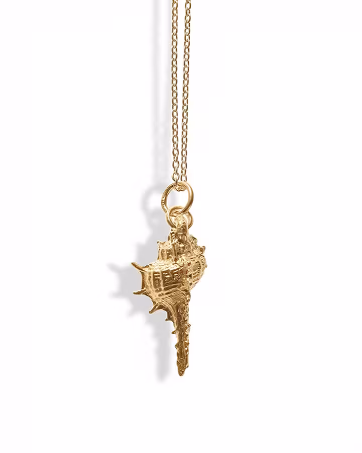 Collar de Concha Marina Espinosa en oro, foto de producto - Joyería Cayou