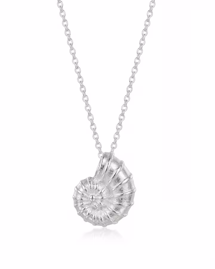 Collar con Colgante de Amonita en Plata, foto de producto - Joyería Cayou