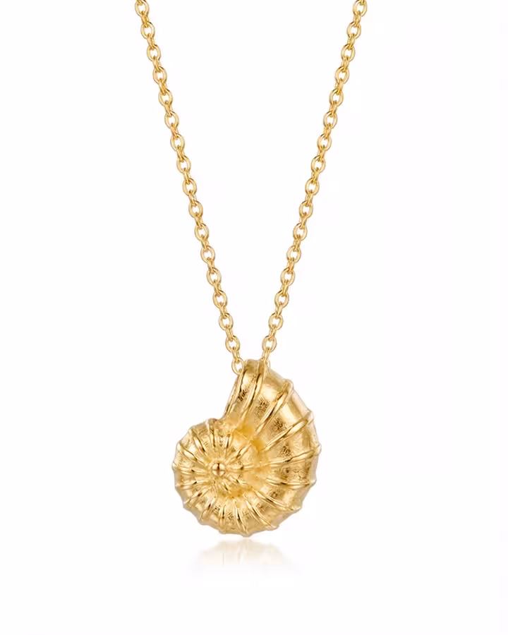 Collar con Colgante de Amonita Bañado en Oro, foto de producto - Joyería Cayou