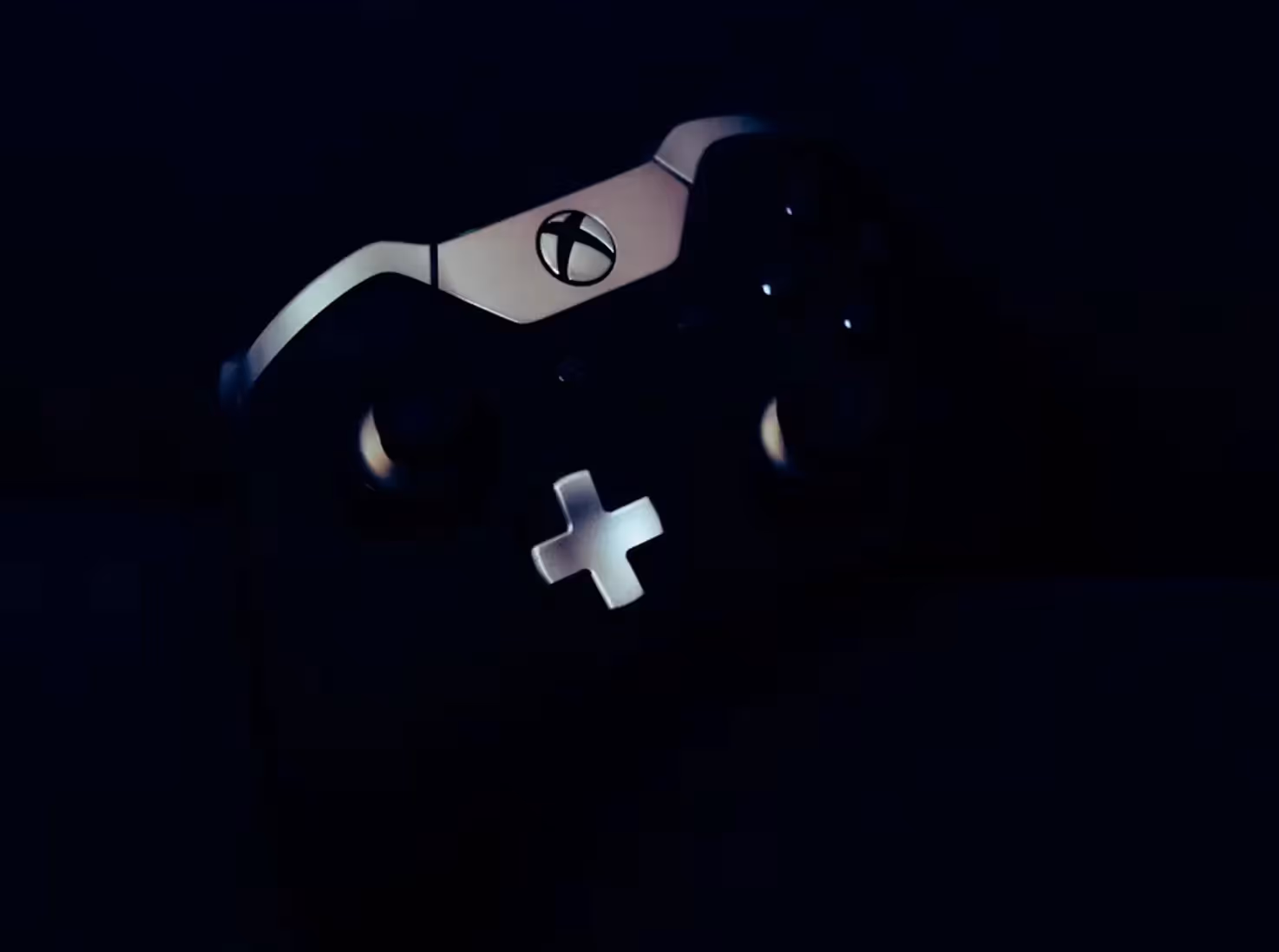 Gallery Single Image
