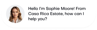 Customer chat message requesting appointment to visit luxury loft property in Spain with user avatar