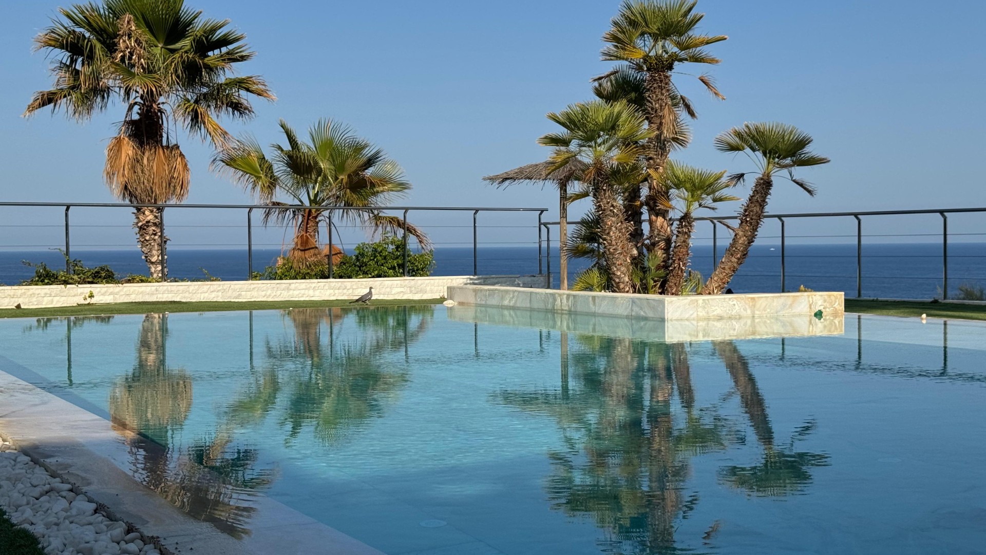 Night view of Villa El Campello facade with illuminated marble pool and landscaped gardens.