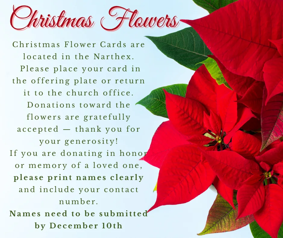 Red poinsettia flowers on the right with text about Christmas Flower Cards and donation instructions on the left.