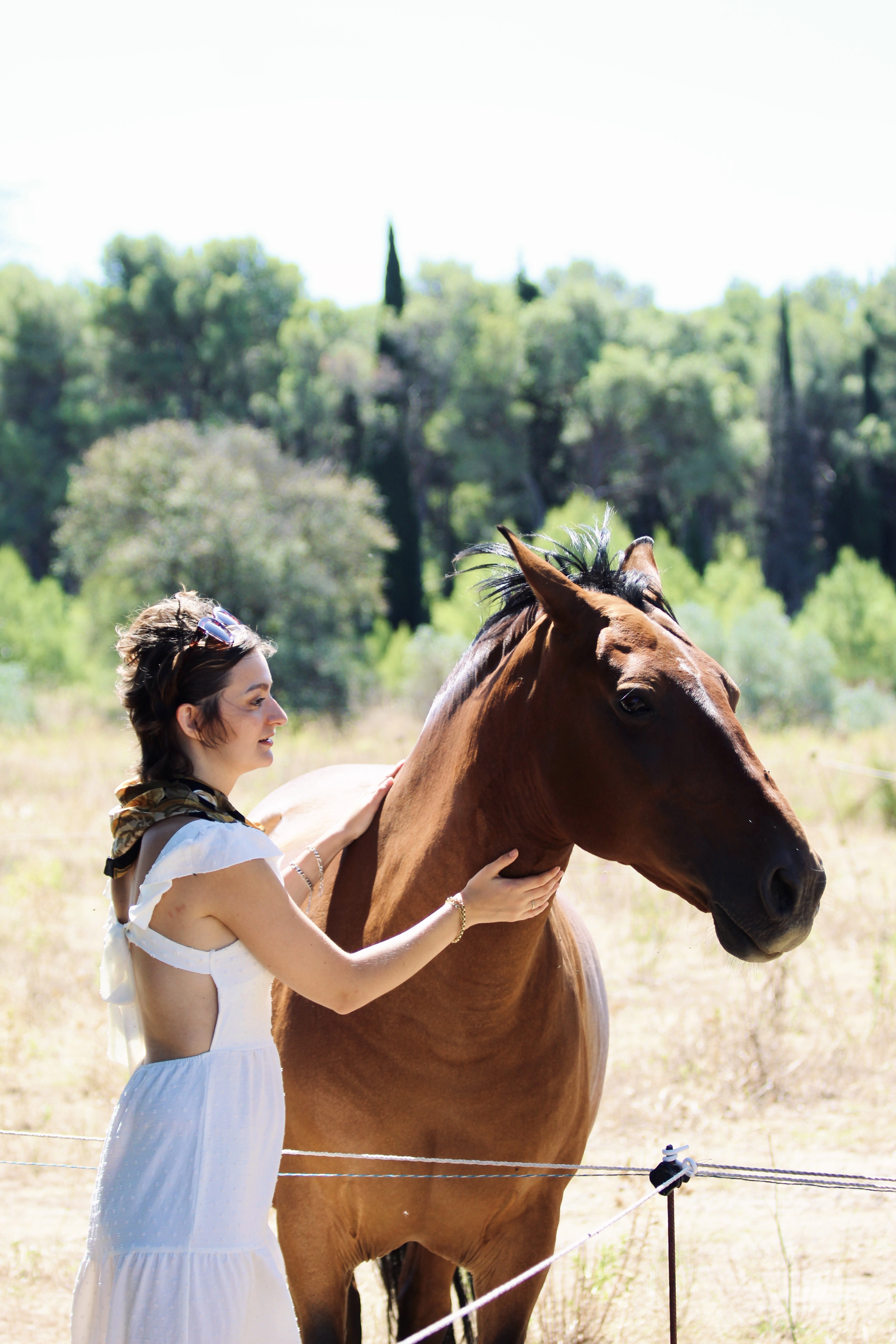 Femme en robe blanche caressant un cheval brun dans une clairière ensoleillée.
