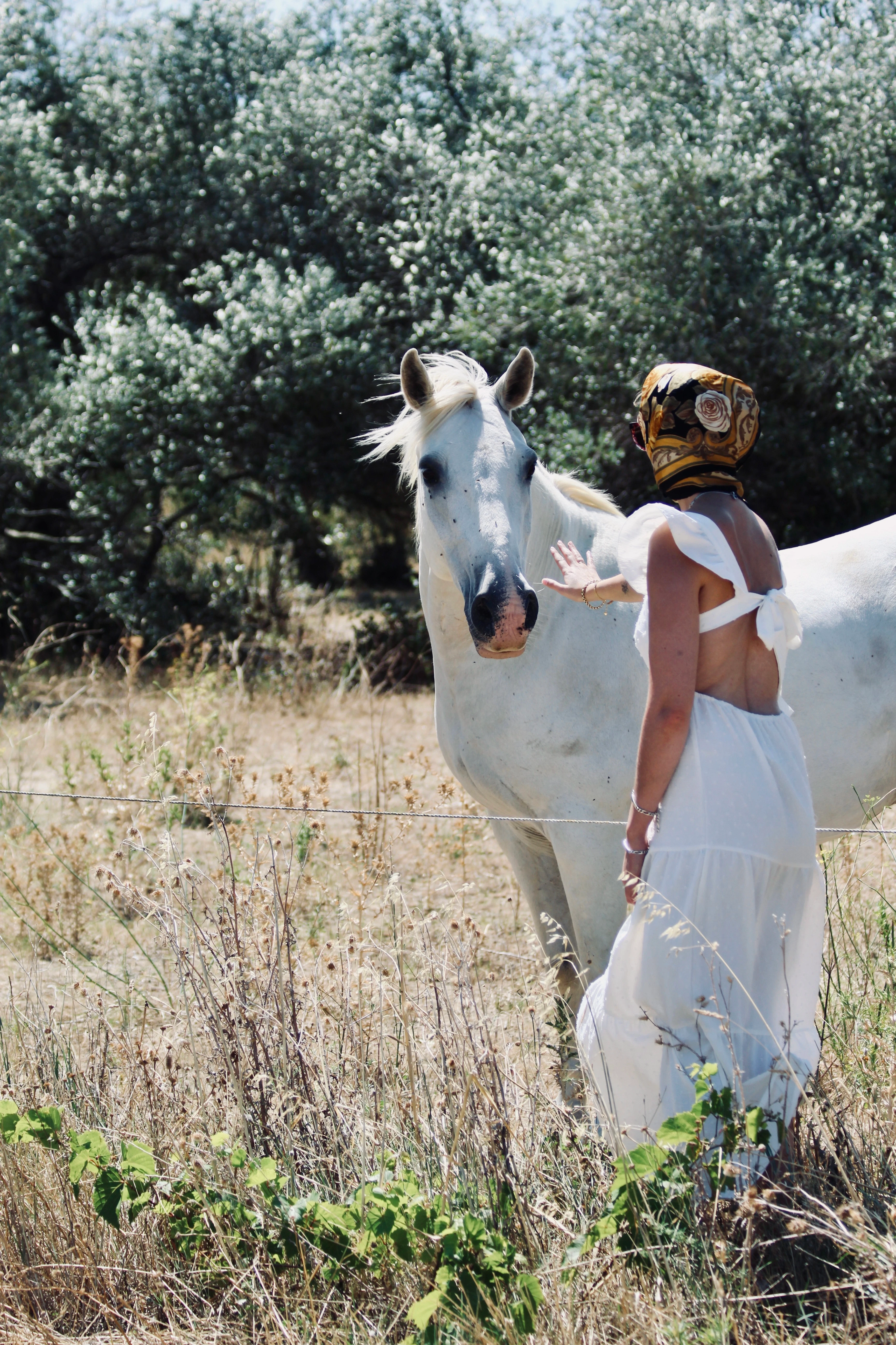 Femme en robe blanche posant doucement la main sur un cheval blanc dans un paysage naturel.
